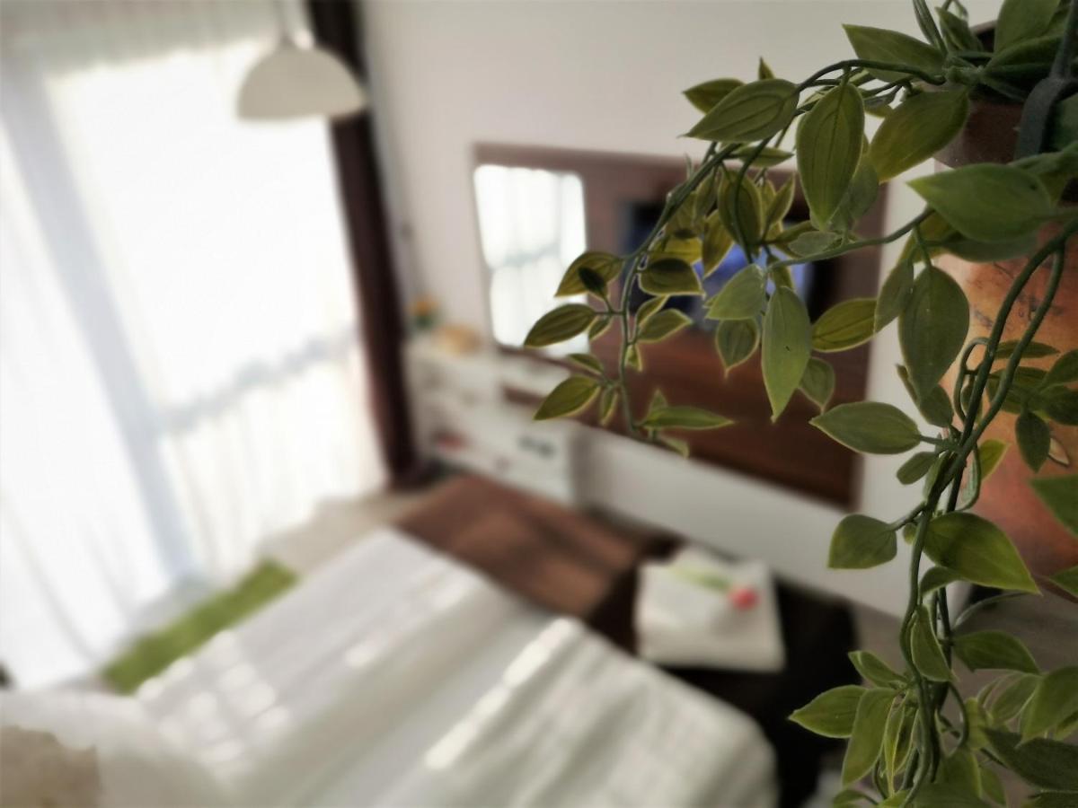 The Evergreen Nest - Silver Mountain 波亚纳布拉索夫 外观 照片